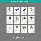 Bird Calendar 2024 Printable PDF | A4 & US Letter - Monday Sunday