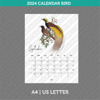 Bird Calendar 2024 Printable PDF | A4 & US Letter - Monday Sunday