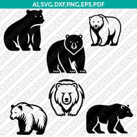 Bear SVG Mascot Cut File Cricut Clipart Silhouette Png