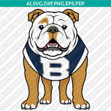 Butler Bulldogs SVG Bundle | NCAA College Vector Cricut