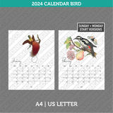 Bird Calendar 2024 Printable PDF | A4 & US Letter - Monday Sunday