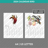 Bird Calendar 2024 Printable PDF | A4 & US Letter - Monday Sunday