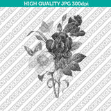 Classic Vintage Printable Wall Art Hand Drawn Painting Botanical Flower Hellebore and Oeillet Plant Digital Download