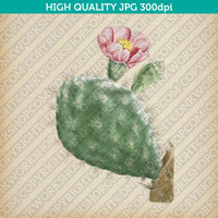 Retro Classic Vintage Printable Wall Art Watercolor Painting Botanical Cacti Cactus Cochenillifer Plant