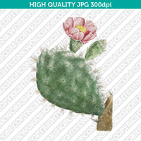 Retro Classic Vintage Printable Wall Art Watercolor Painting Botanical Cacti Cactus Cochenillifer Plant