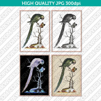 Classic Vintage Printable Wall Art Hand Drawn Painting Animal Bird Parrot Macaw Digital Download