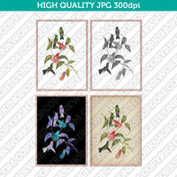 Retro Classic Vintage Printable Wall Art Watercolor Painting Animal Bird Hummingbird Woodnymph Plant