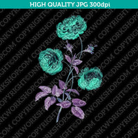 Classic Vintage Printable Wall Art Hand Drawn Painting Botanical Flower Provence Cabbage Rose Plant Digital Download