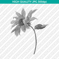 Retro Classic Vintage Printable Wall Art Watercolor Painting Botanical Sunflower Plant