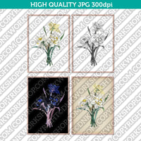Classic Vintage Printable Wall Art Hand Drawn Painting Botanical Flower Double Daffodil Plant Digital Download