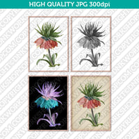 Classic-Vintage-Retro-Watercolor-Painting-Botanical-Flower-Crown-Imperial-Fritillary-Plant-Printable-Wall-Art