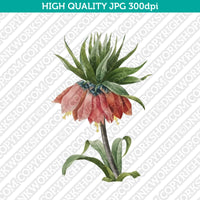 Classic-Vintage-Retro-Watercolor-Painting-Botanical-Flower-Crown-Imperial-Fritillary-Plant-Printable-Wall-Art