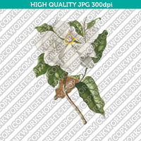 Classic Vintage Printable Wall Art Hand Drawn Painting Botanical Flower Magnolia Plant Digital Download