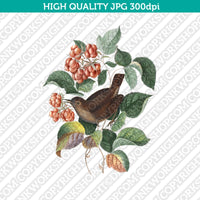 Classic-Vintage-Watercolor-Painting-Botanical-Eurasian-Wren-Bird-Raspberry-Plant-Printable-Wall-Art