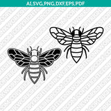 Queen Bee SVG Cut File Vector Cricut Silhouette Cameo Clipart Png Dxf Eps