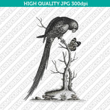 Classic Vintage Printable Wall Art Hand Drawn Painting Animal Bird Parrot Macaw Digital Download