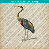 Classic Vintage Printable Wall Art Painting Bird Purple Heron Digital Download