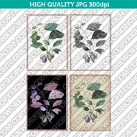 Classic Vintage Printable Wall Art Hand Drawn Painting Botanical Prunes with Leaves Plant Digital Download