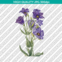 Classic Vintage Printable Wall Art Hand Drawn Watercolor Painting Botanical Flower Texas Bluebell Plant