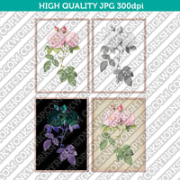 Classic Vintage Printable Wall Art Hand Drawn Painting Botanical Flower Italian Damask Rose Plant Digital Download
