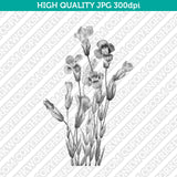 Retro Classic Vintage Printable Wall Art Watercolor Painting Botanical Flower Gentianopsis Fringed Gentian Plant