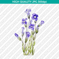 Retro Classic Vintage Printable Wall Art Watercolor Painting Botanical Flower Gentianopsis Fringed Gentian Plant