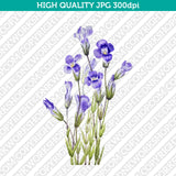 Retro Classic Vintage Printable Wall Art Watercolor Painting Botanical Flower Gentianopsis Fringed Gentian Plant