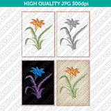 Classic Vintage Printable Wall Art Hand Drawn Watercolor Painting Botanical Tritonia Flower