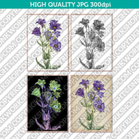 Classic Vintage Printable Wall Art Hand Drawn Watercolor Painting Botanical Flower Texas Bluebell Plant
