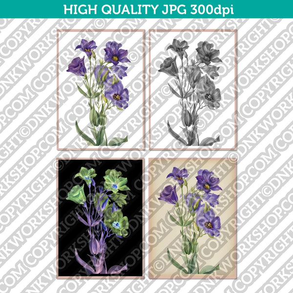 Classic Vintage Printable Wall Art Hand Drawn Watercolor Painting Botanical Flower Texas Bluebell Plant