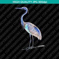 Classic Vintage Printable Wall Art Painting Bird Purple Heron Digital Download
