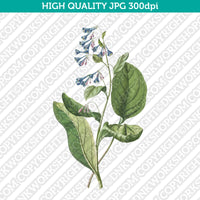 Classic Vintage Retro Printable Wall Art Painting Botanical Flower Lungworts Plant Digital Download