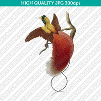 Classic Vintage Retro Printable Wall Art Painting Red Bird Of Paradise Digital Download