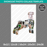 Showgoat Photo Collage Canva Template PDF