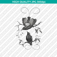 Classic Vintage Printable Wall Art Hand Drawn Painting Animal Magnificent Bird of Paradise Digital Download