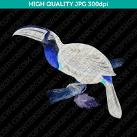 Classic Vintage Retro Printable Wall Art Painting Bird Toucan Digital Download