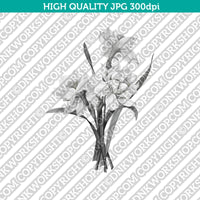 Classic Vintage Printable Wall Art Hand Drawn Painting Botanical Flower Double Daffodil Plant Digital Download