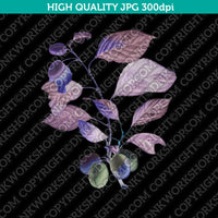 Classic Vintage Printable Wall Art Hand Drawn Painting Botanical Prunes with Leaves Plant Digital Download