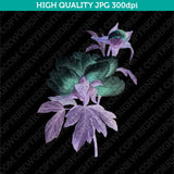 Retro Classic Vintage Printable Wall Art Watercolor Painting Botanical Peony Flower Plant