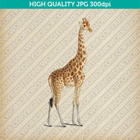 Retro Classic Vintage  Printable Wall Art Watercolor Painting Animal Giraffe