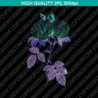 Classic Vintage Printable Wall Art Hand Drawn Painting Botanical Flower Italian Damask Rose Plant Digital Download