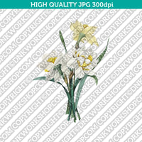 Classic Vintage Printable Wall Art Hand Drawn Painting Botanical Flower Double Daffodil Plant Digital Download