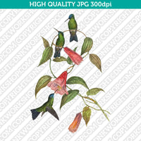 Retro Classic Vintage Printable Wall Art Watercolor Painting Animal Bird Hummingbird Woodnymph Plant