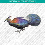 Retro Classic Vintage Printable Wall Art Watercolor Painting Animal Himalayan Monal Bird