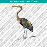 Classic Vintage Printable Wall Art Painting Bird Purple Heron Digital Download