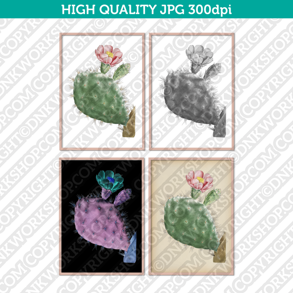 Retro Classic Vintage Printable Wall Art Watercolor Painting Botanical Cacti Cactus Cochenillifer Plant