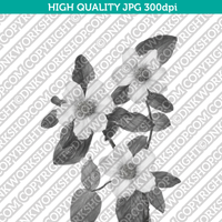 Classic Vintage Printable Wall Art Hand Drawn Painting Botanical Flower Pacific Dogwood Digital Download