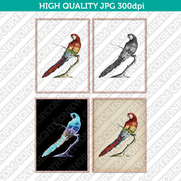 Classic Vintage Printable Wall Art Painting Animal Bird Parrot Macaw on Tree Digital Download
