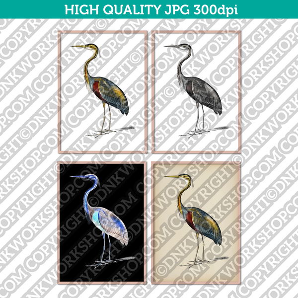 Classic Vintage Printable Wall Art Painting Bird Purple Heron Digital Download