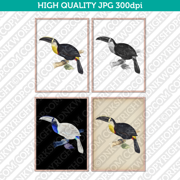 Classic Vintage Retro Printable Wall Art Painting Bird Toucan Digital Download
